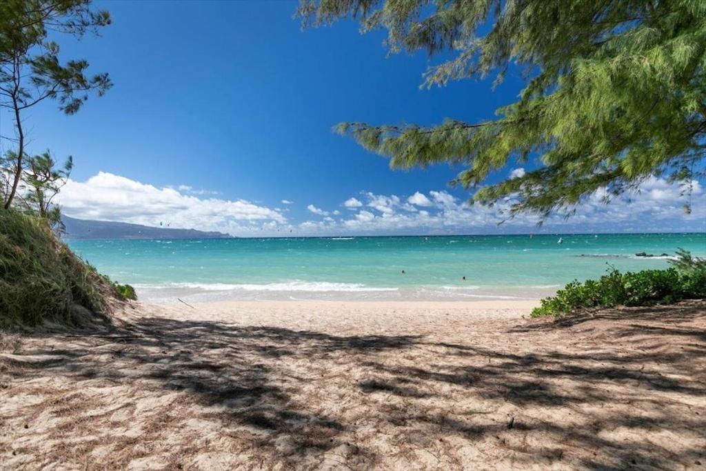 Unit 19 Maui Ohana Modern
