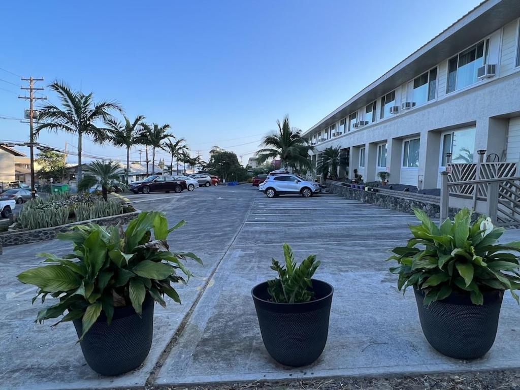 Apartment Unit 19 Maui Ohana Modern