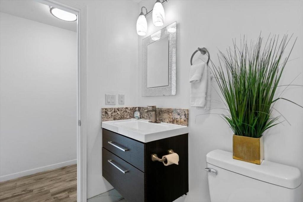 Apartment Unit 19 Maui Ohana Modern *